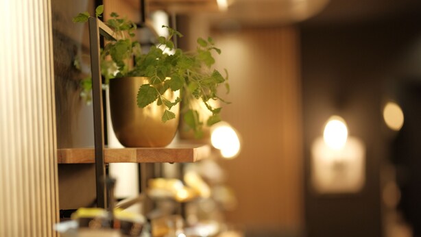 A restaurant interior with a long counter, hanging plants, and warm lighting. - THE ROOMS - Hotel & House (Frankfurt)