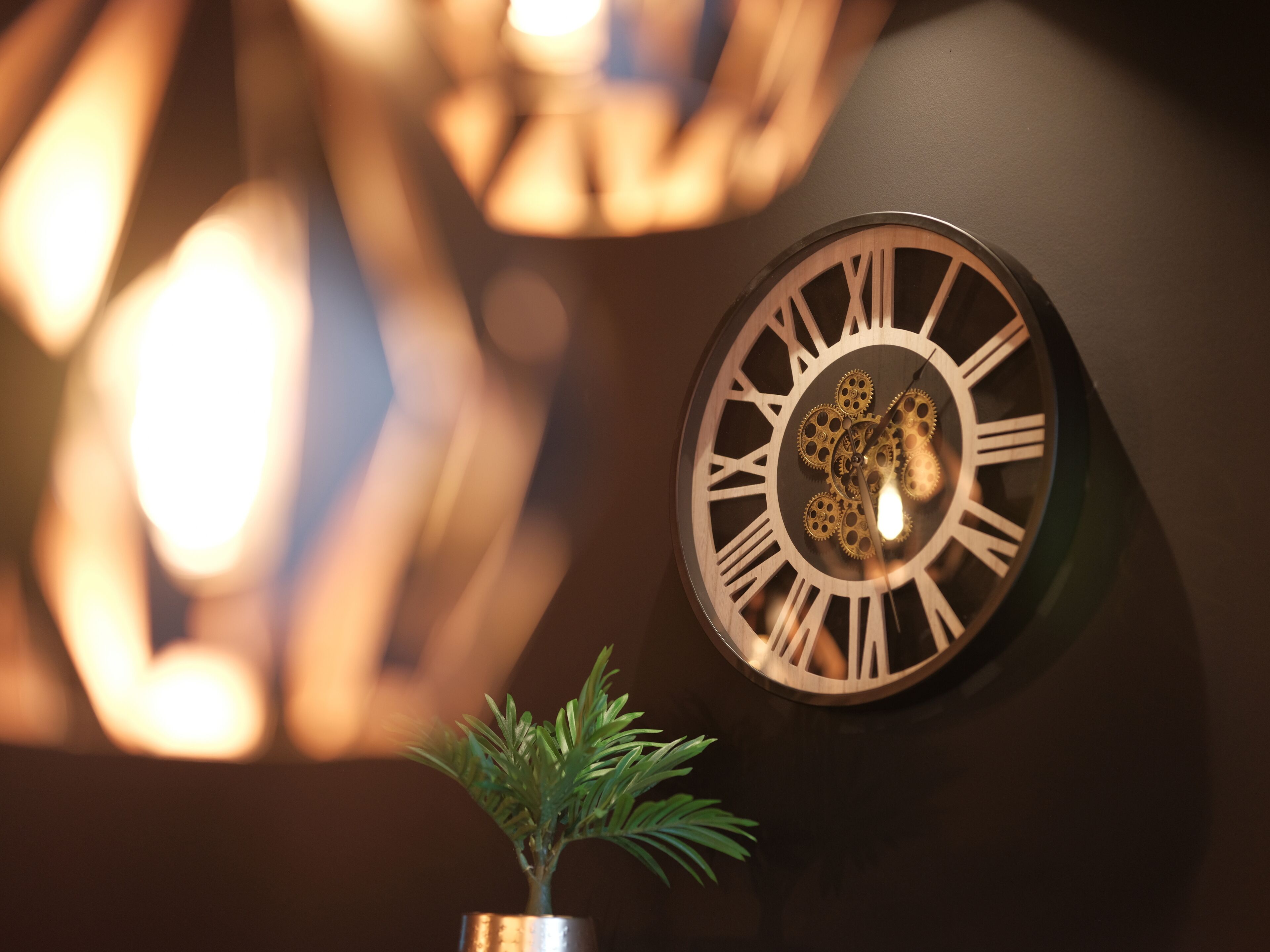 Un reloj de pared con números romanos y una planta decorativa debajo.