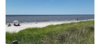 Sea Breeze By The Bay- Pet Friendly!