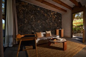 Una sala de estar moderna con pared de piedra, un sofá, una mesa de centro y vistas a un jardín.