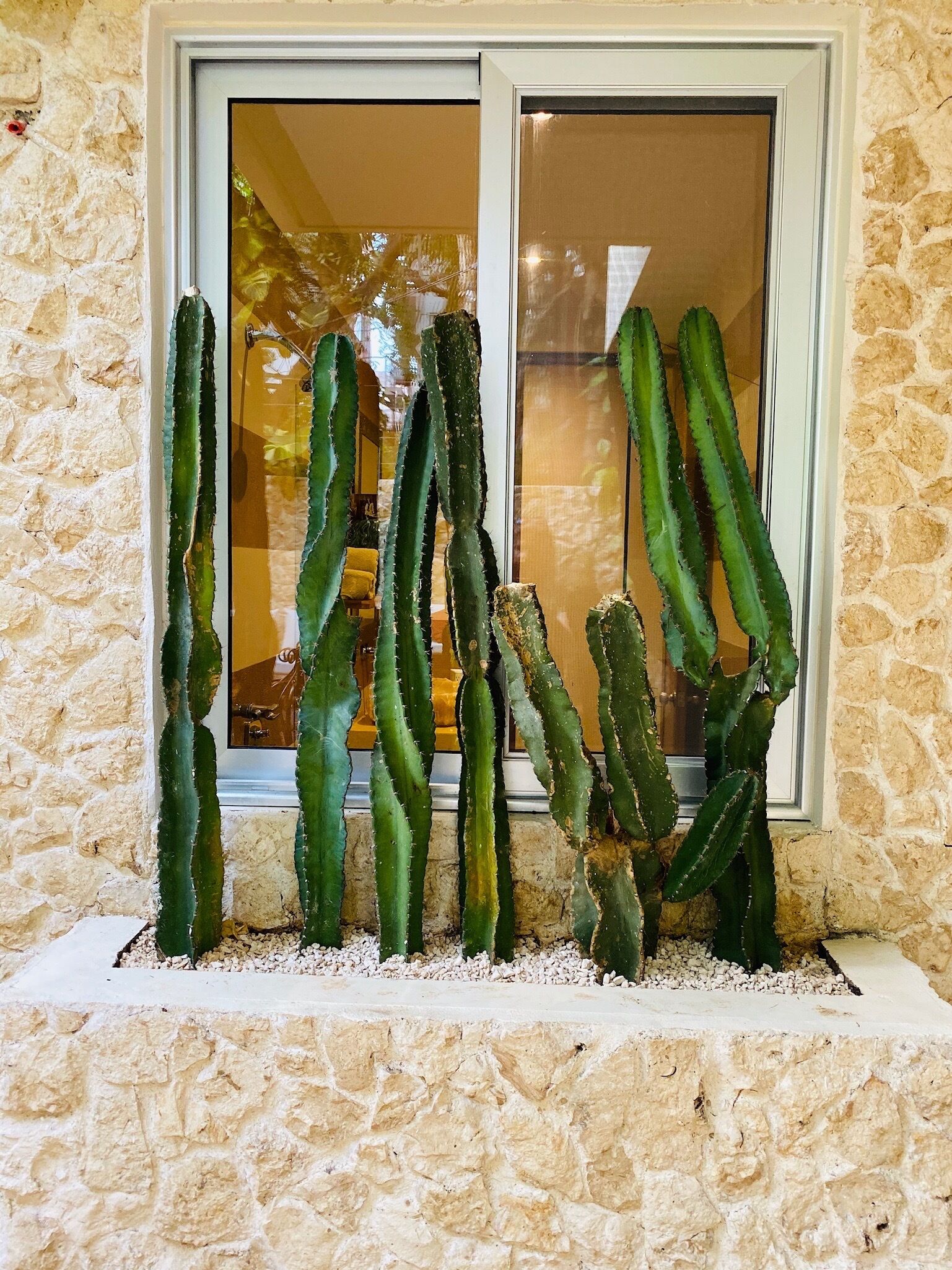 Foto - Casarte Boutique Hotel