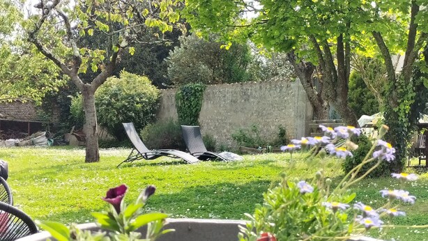 A garden with a lawn, two lounge chairs, a tree, and a potted plant. - Quiet little haven 5 kms from the port of La Rochelle  (Dompierre-sur-Mer)
