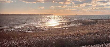 Playa en los alrededores