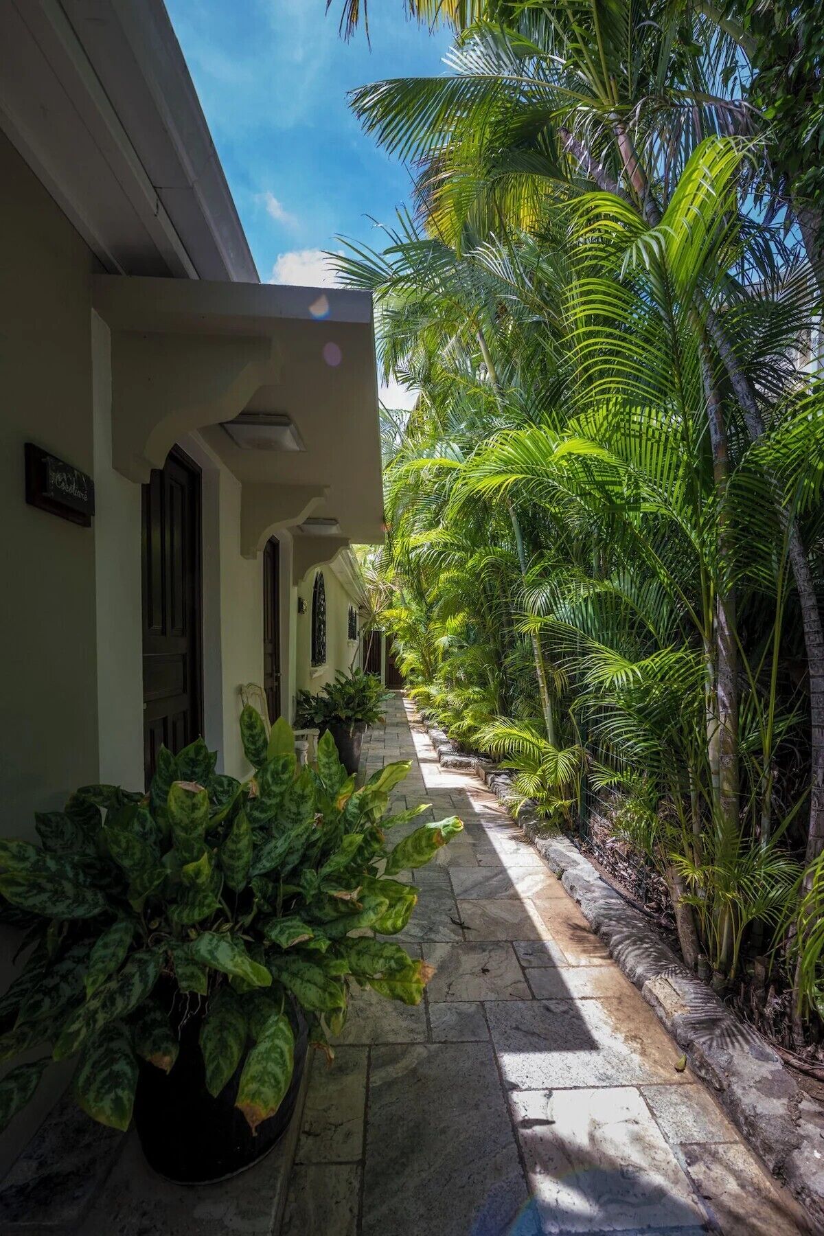 A narrow pathway flanked by lush greenery and a building with a light-colored facade.
