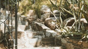 Una escalera de piedra con barandilla de metal, rodeada de plantas y rocas.