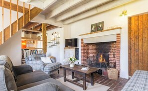TV, fireplace, video games, DVD player
