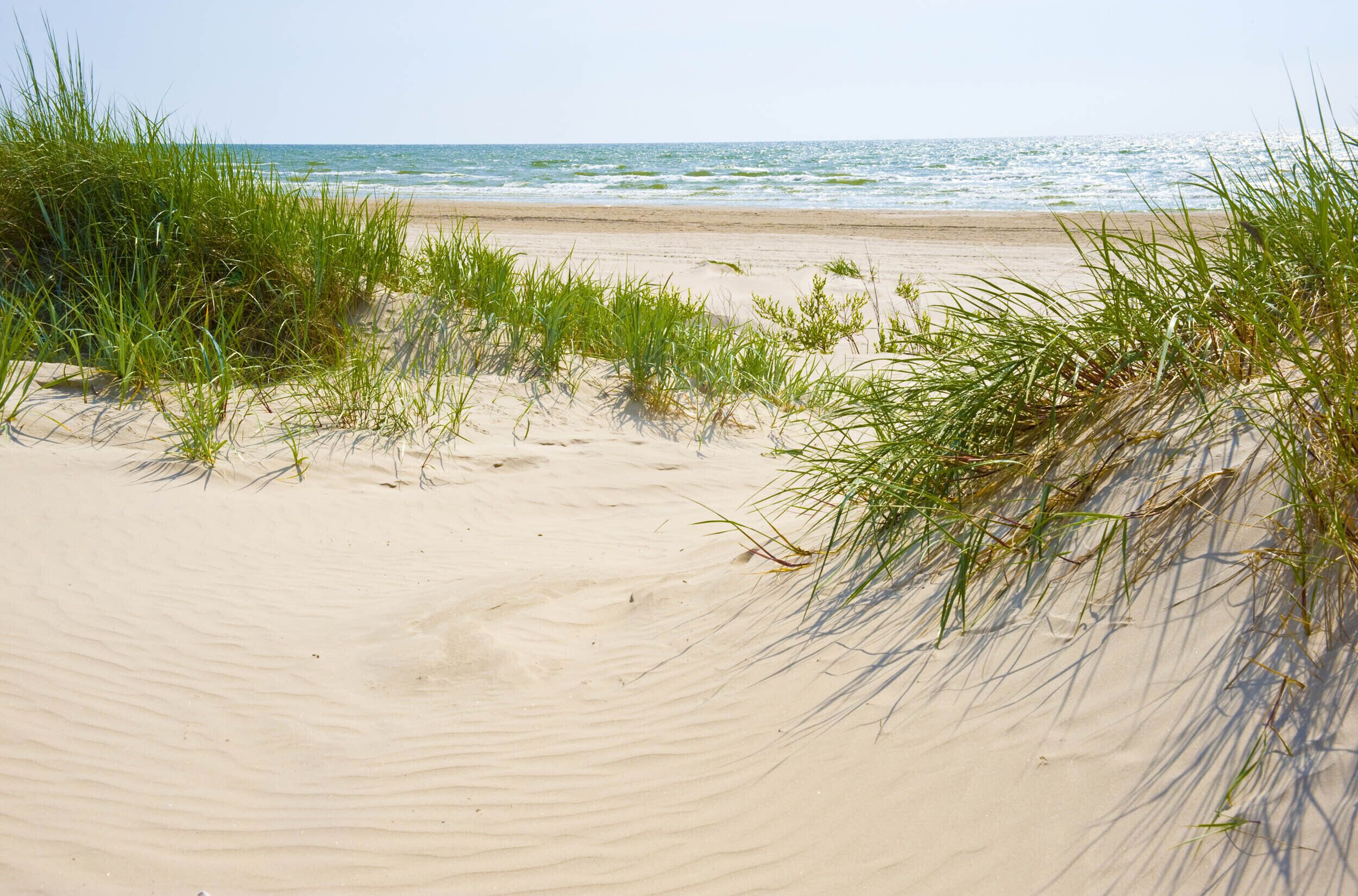 Strand