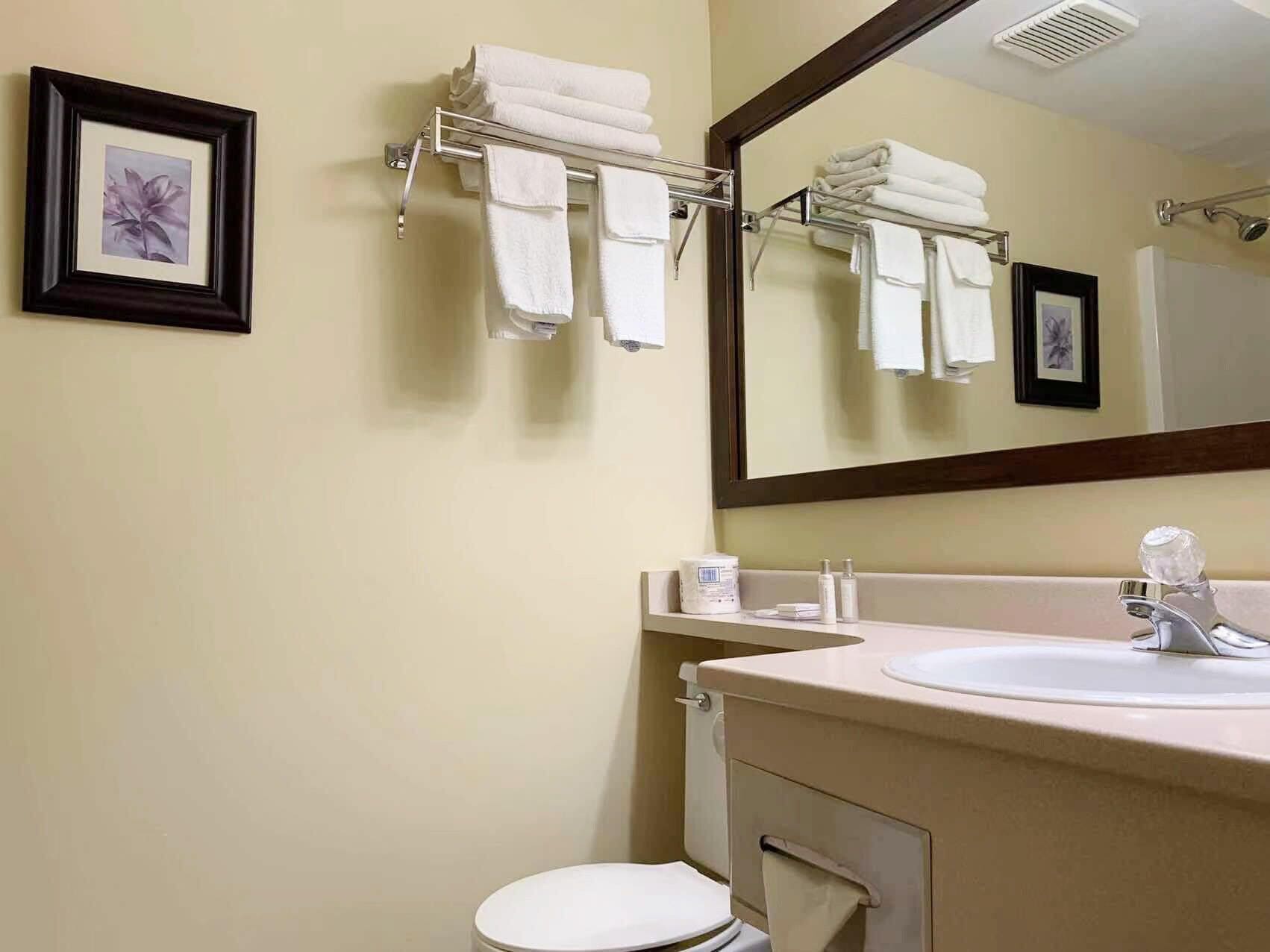 A bathroom with a sink, mirror, towel rack, toilet, and framed pictures on the wall.