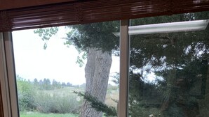 Une fenêtre donnant sur un espace verdoyant et des arbres.