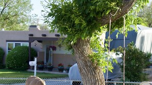 A fenced area with a tree, a swing, and a deer grazing. - Casa Little Bird (Los Alamos)