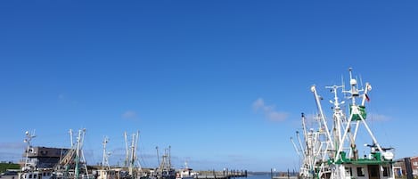Jachthaven
