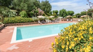 Une piscine entourée de verdure et d’arbres, avec des chaises longues et des parasols.