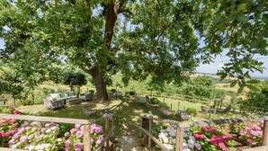Un jardin avec un grand arbre, une clôture en bois et un chemin menant à un espace de détente extérieur.