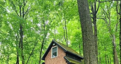 Luxury Romantic Retreat w/ Hot Tub, Cabin in Woods, Winter Wonderland w/Firepit