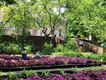 Luxury Romantic Couples Retreat w/ Hot Tub, Cabin in Woods, Fall Oasis w/Firepit