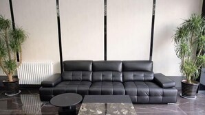 Un salon moderne avec un canapé en cuir noir, une table basse en marbre et deux plantes en pot.