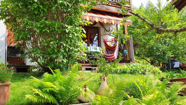 Un jardin luxuriant avec un hamac, une poule et une maison dotée d’un balcon.