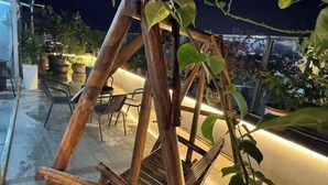A hammock swing made of wooden poles, surrounded by potted plants and outdoor furniture on a rooftop terrace. - Huizhou galston hotel (Huizhou)