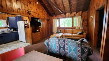 Télévision, cheminée, table de tennis de table