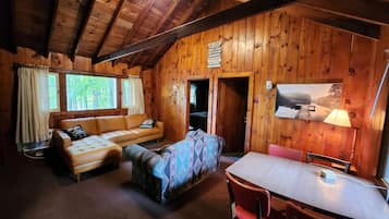 TV, fireplace, table tennis