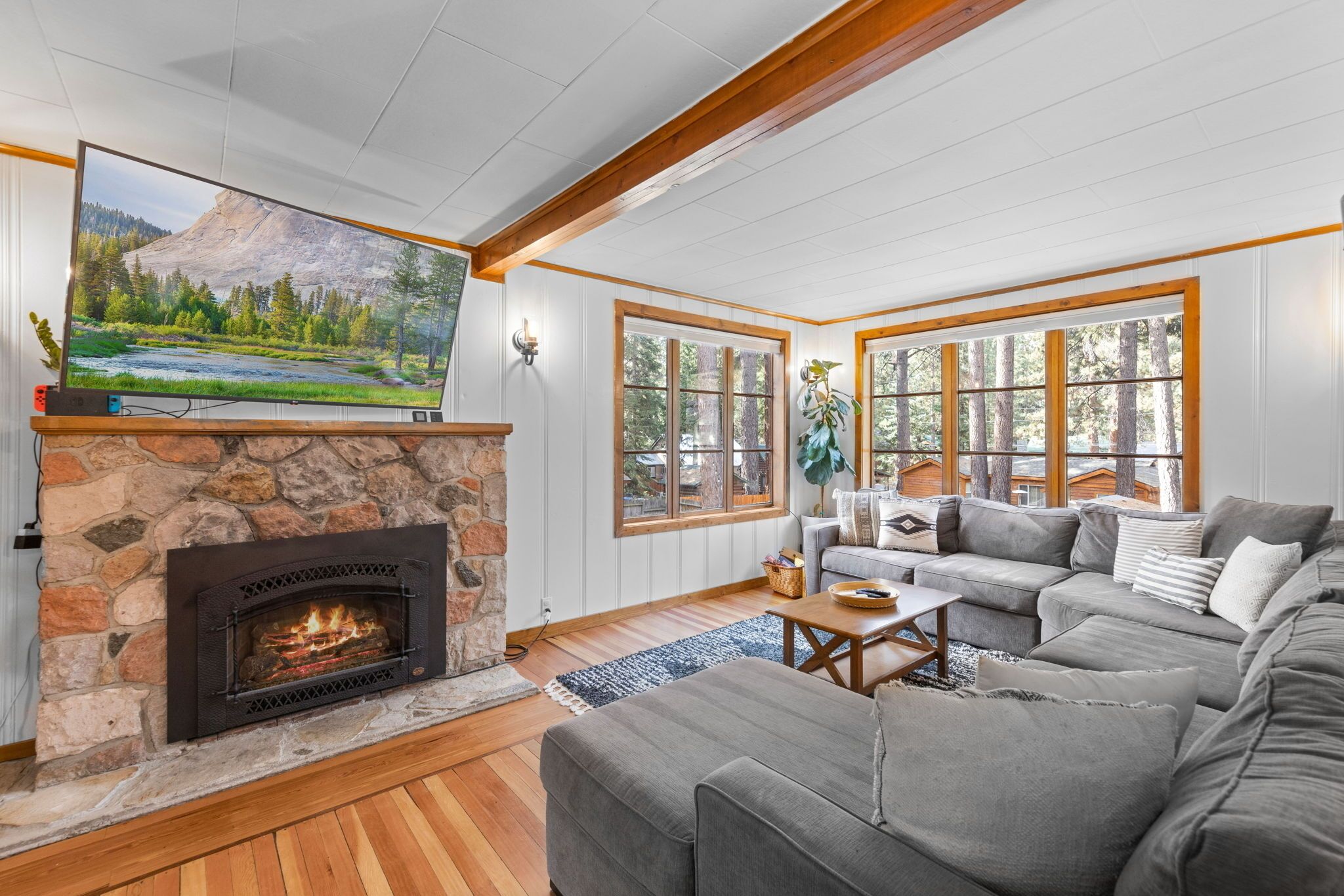 Smart TV, fireplace, books