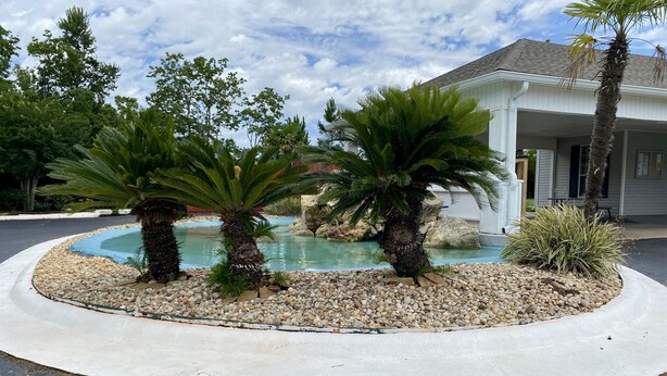 Uma piscina cercada por palmeiras e pedras, com uma casa ao fundo.