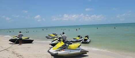 بالقرب من الشاطئ، كراسي للتشمس، مناشف للشاطئ