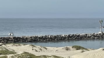 Plage à proximité, chaises longues, serviettes de plage