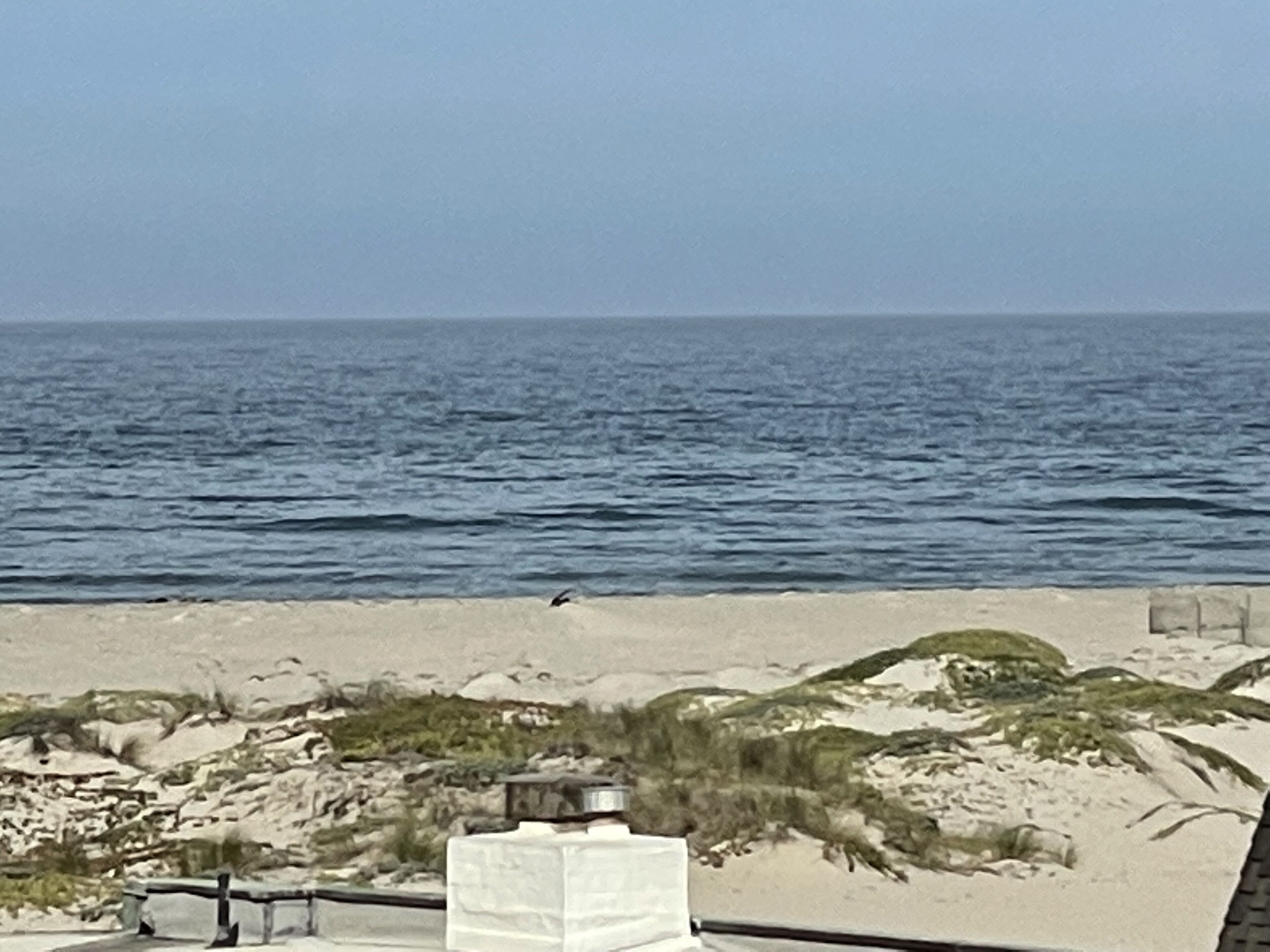 A beach view with a sandy shore, some vegetation, and a clear sky.