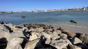 Una costa rocosa con vistas despejadas al océano y una playa distante con edificios y palmeras.