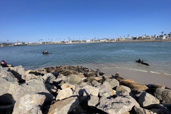 Playa en los alrededores, camastros y toallas de playa