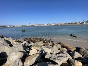 靠近海滩、沙滩椅、沙滩毛巾