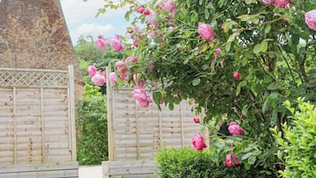 Casa de campo | Áreas de la propiedad