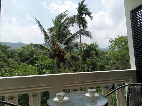 Property grounds - Relaxing with nature in the heart of the city. (Chiang Mai)