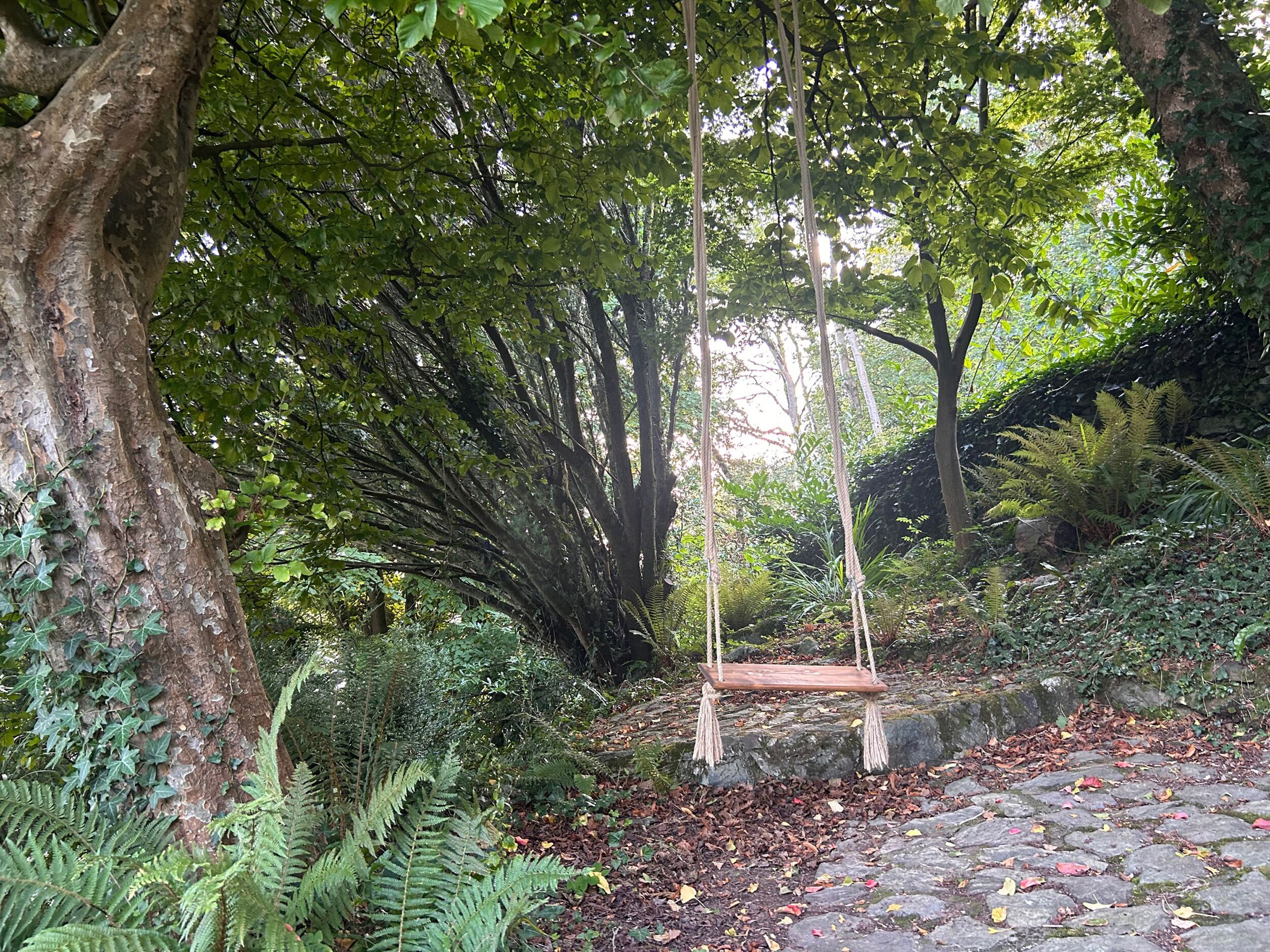 Um baloiço de madeira numa área arborizada com calçada de pedra e samambaias.