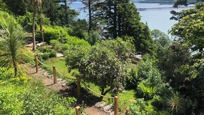 Un jardin luxuriant, avec une grande variété d’arbres, et une vue dégagée sur un lac et des montagnes au loin.