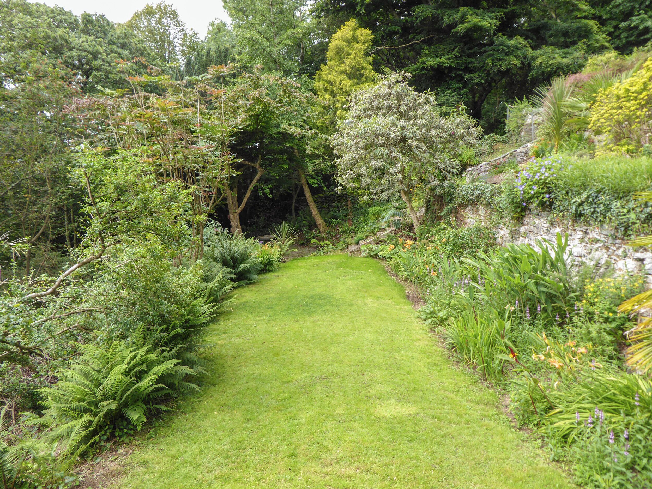 Un camí de jardí ben cuidat amb vegetació abundant i plantes diverses.