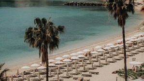 Una playa con filas de sillas de playa y sombrillas, palmeras y una vista despejada del mar.