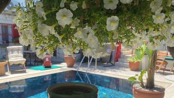 A green cup on a saucer by a poolside with white flowers overhead.
