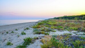 A beach with sand, sparse vegetation, and a distant shoreline.