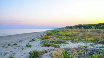 Playa en los alrededores