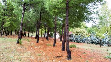 Enceinte de lâhĂ©bergement