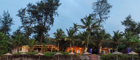 A beachfront property with multiple lounge chairs and umbrellas, a building with lights, and palm trees.