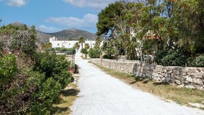 Un camino pavimentado y estrecho bordeado por muros de piedra y abundante vegetación, que conduce a un edificio blanco con un letrero que dice "CAMAR".