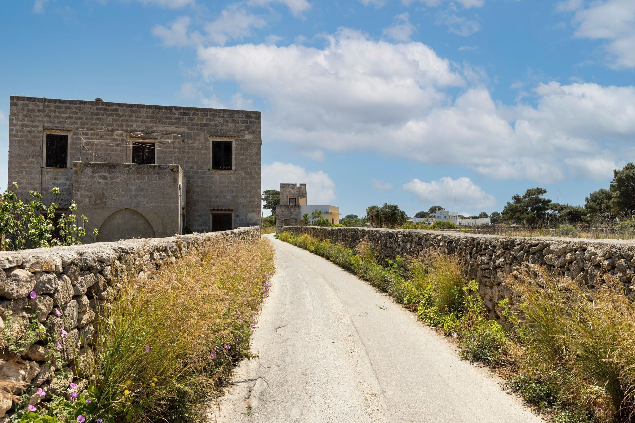 Une étroite route de campagne bordée de murs de pierre et de végétation, menant à un bâtiment en pierre doté de nombreuses fenêtres.