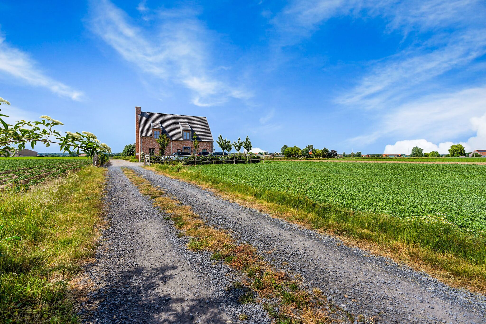 A rural road leading to a brick house with a sloped roof, surrounded by fields and trees.