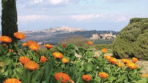 A garden with orange flowers and a view of a hilltop town with buildings.