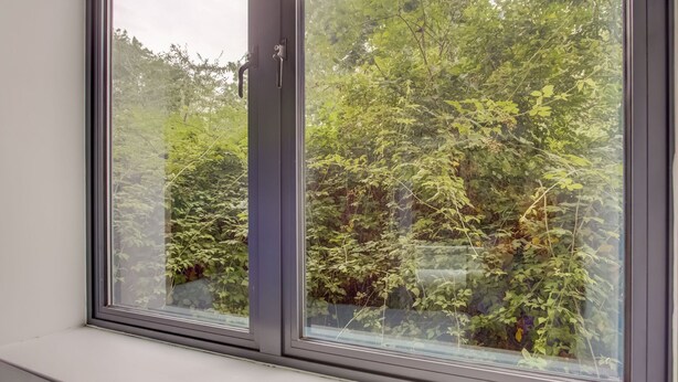 Une fenêtre donnant sur un paysage verdoyant et luxuriant.