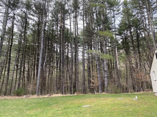 Fishing, hiking, biking, campfire fun & more! Get 2 properties for 1…message me!