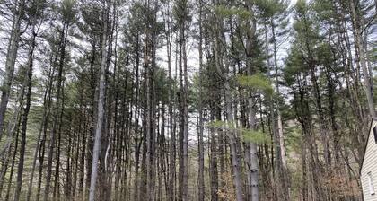 Fishing, hiking, biking, campfire fun & more! Get 2 properties for 1…message me!